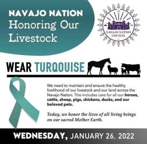 Wear Turqouise - Navajo Nation Honoring Our Livestock image